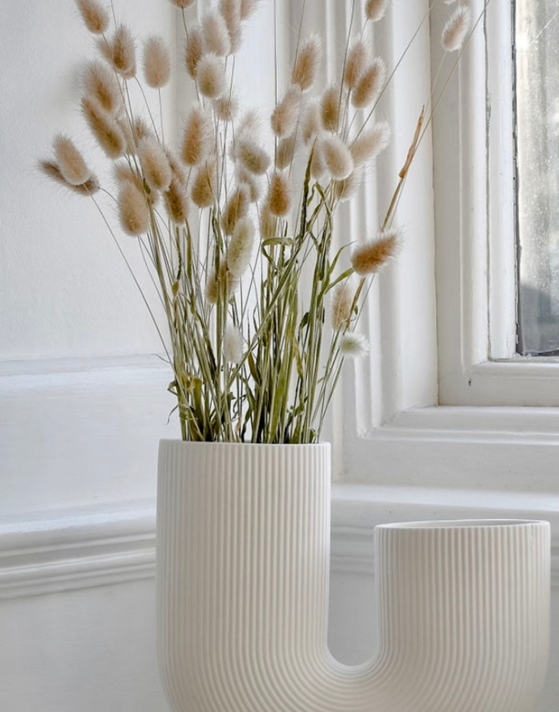 Fleurs dans un vase blanc devant une fenêtre